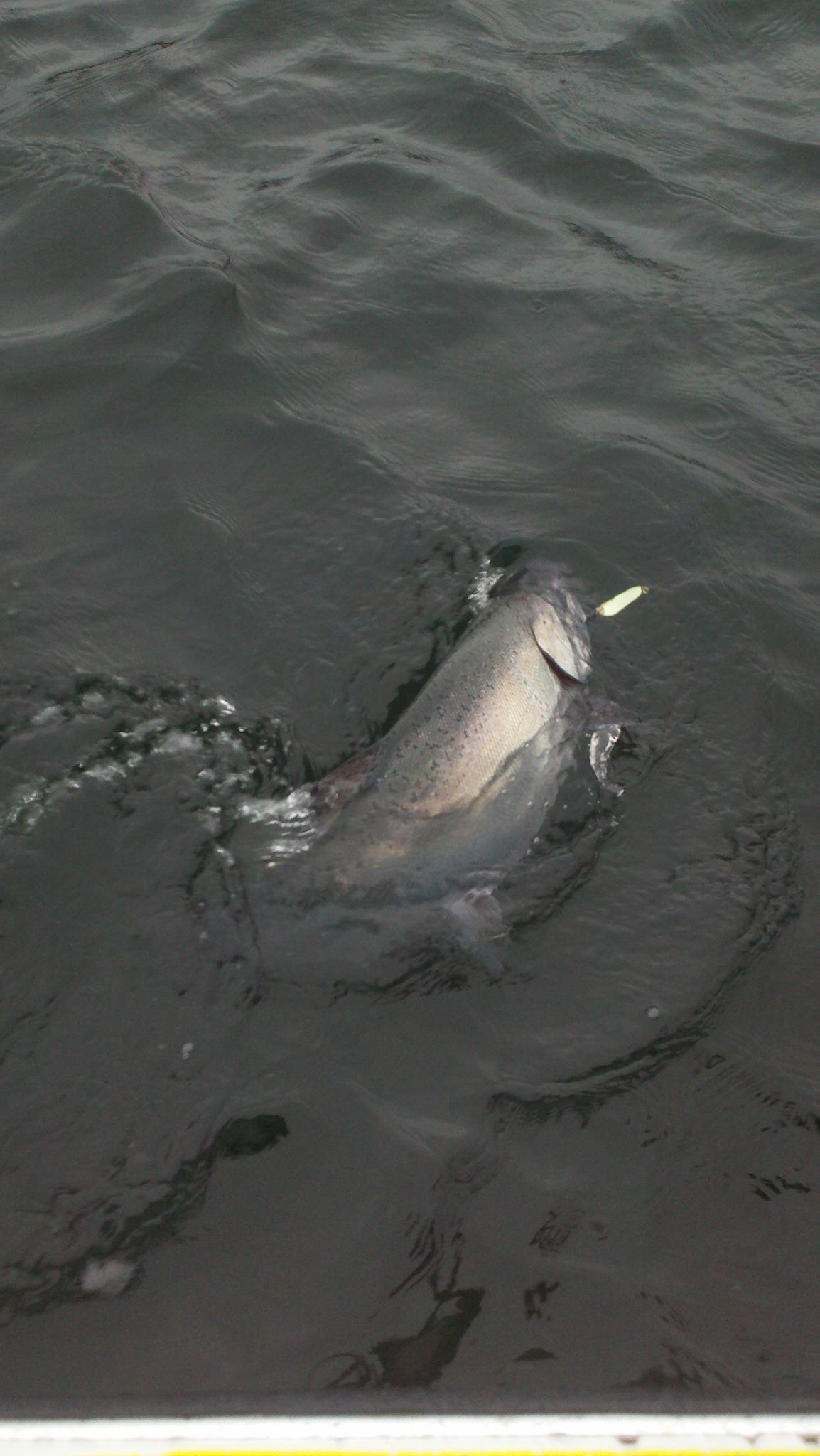 1048403_10151662136499020_803977655_o