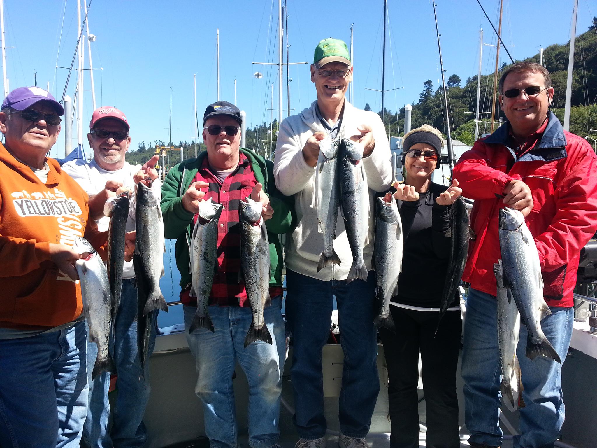 1071403_10151721216039020_103516540_o