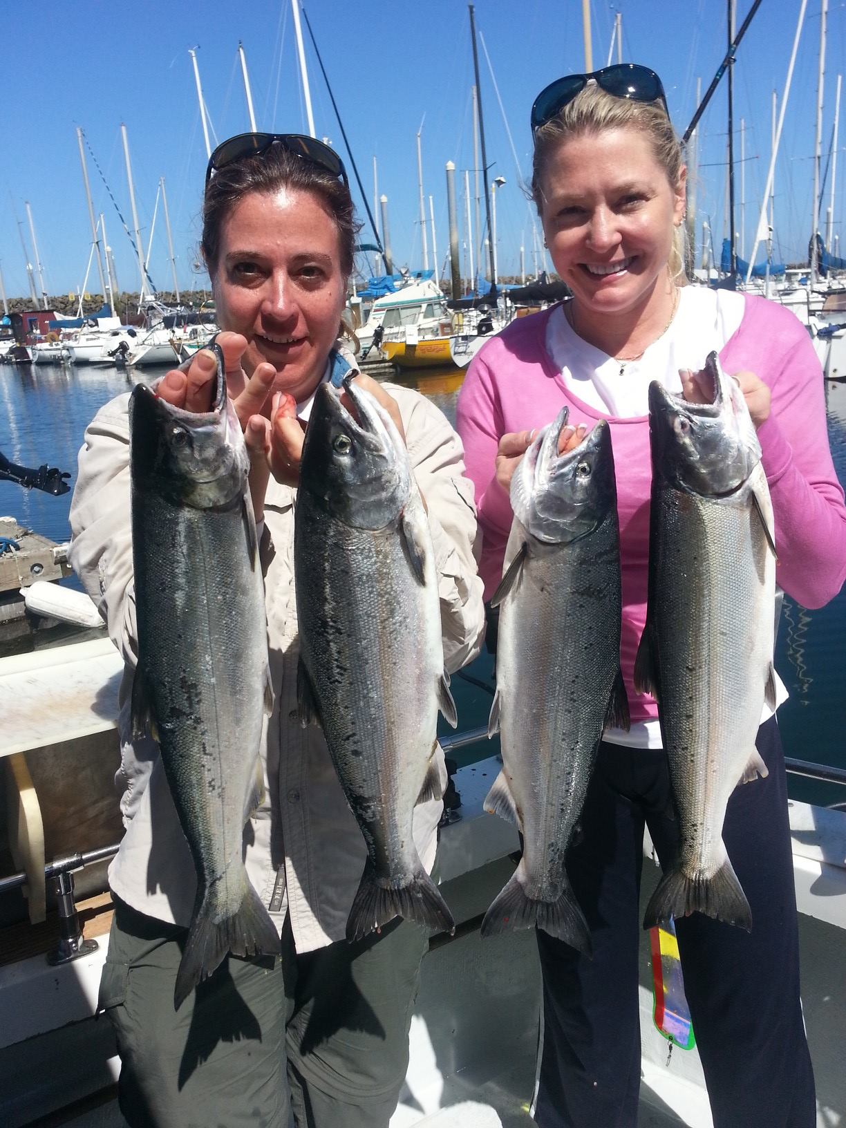 1077024_10151716293714020_391105375_o