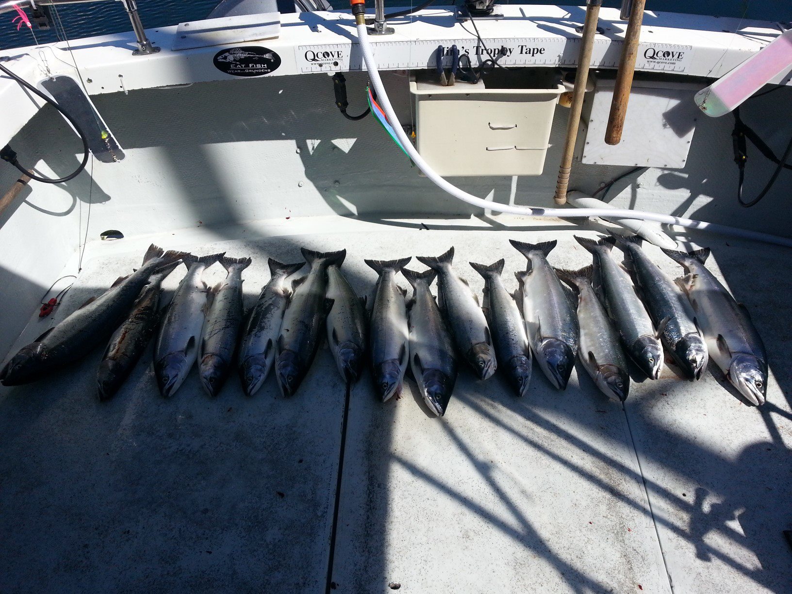 1119847_10151779382519020_1371136483_o