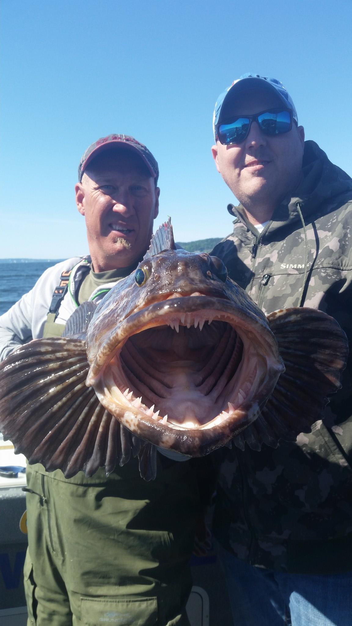 18589136_10155229562974020_7659065447789684503_o