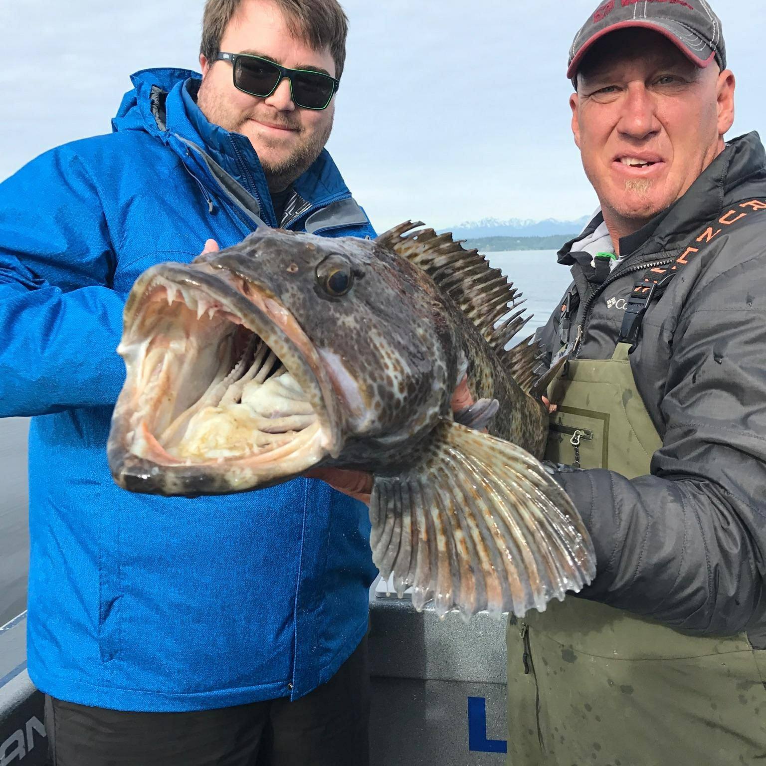 18620792_10155223639394020_5447890284875950062_o