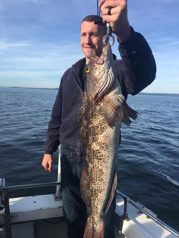 18622649_10155236313619020_7104628832371679627_n