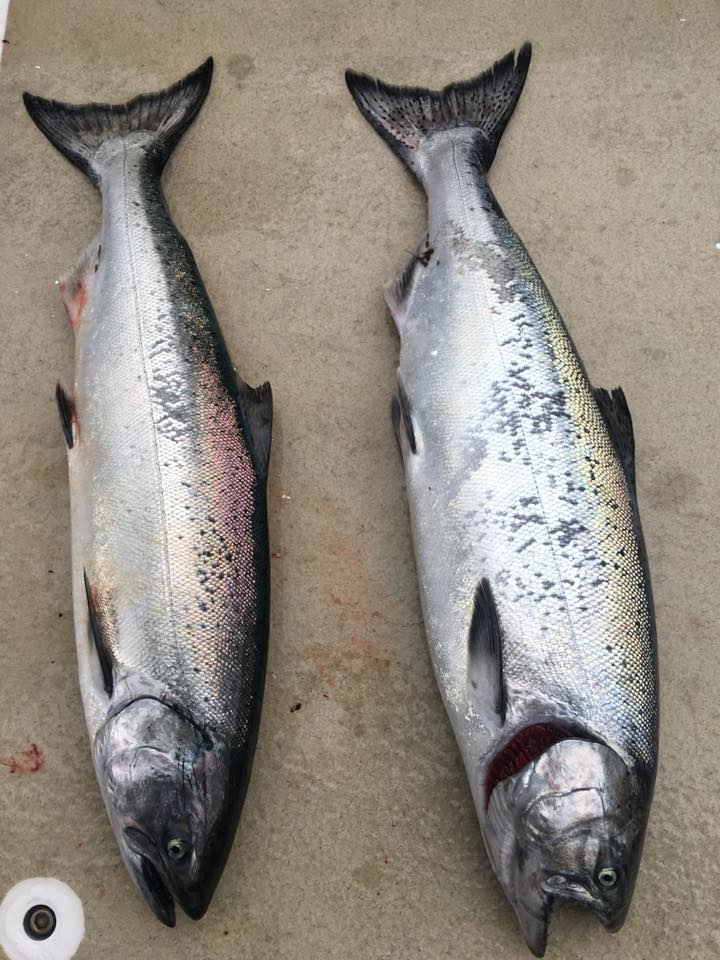 26195882_10155897211564020_4247243162759100244_n