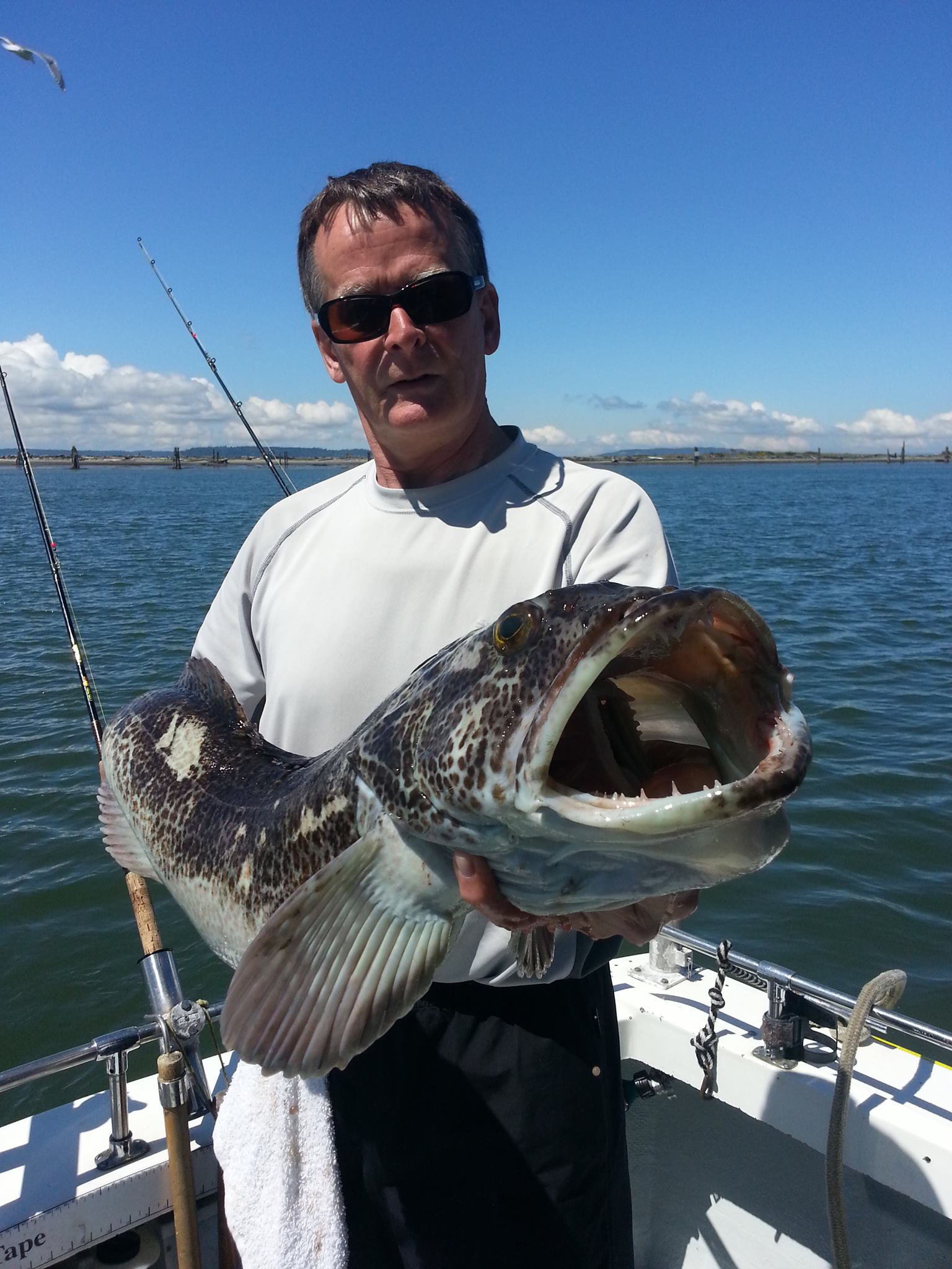 330319_10151586045774020_1455821292_o