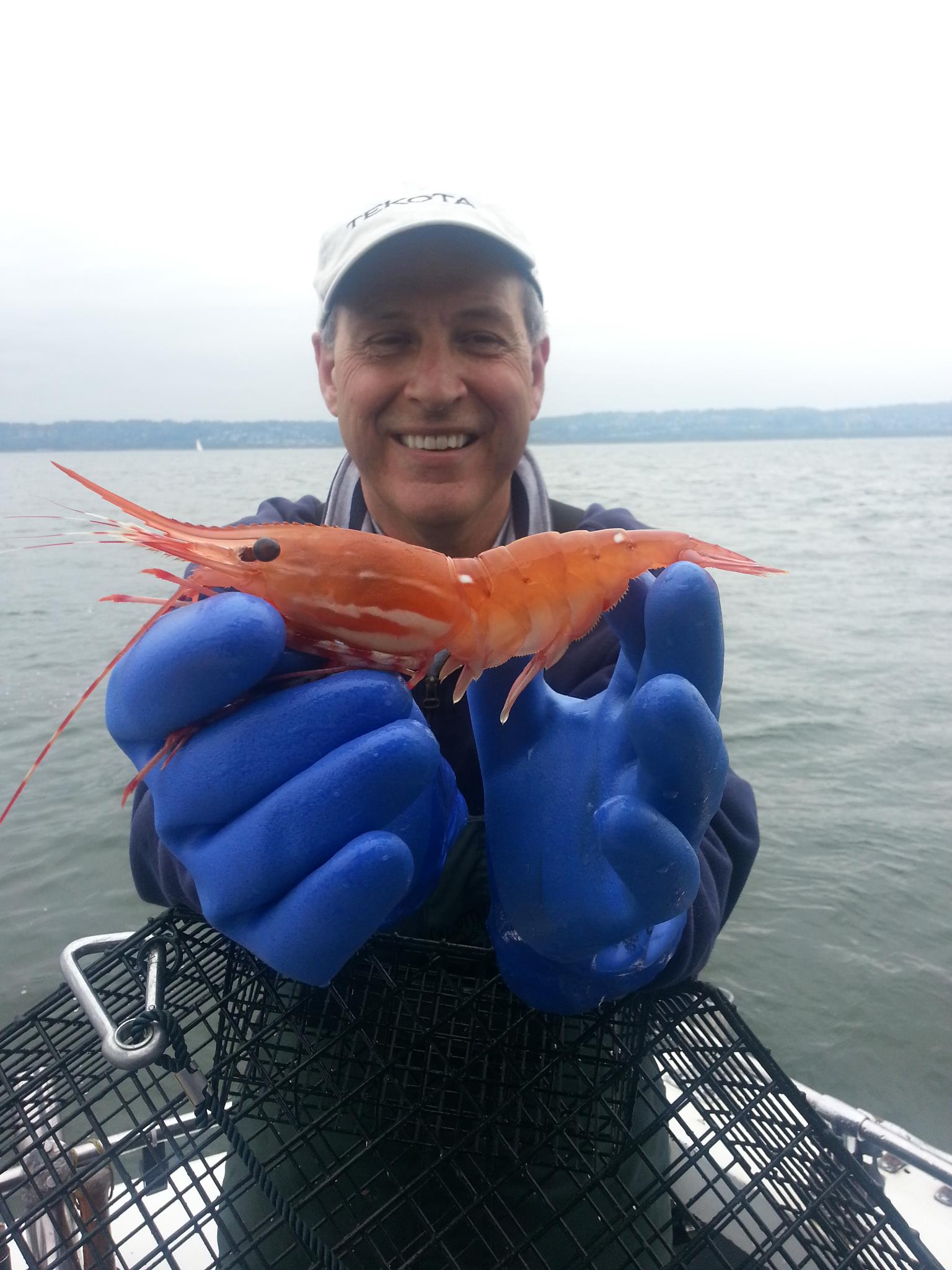 477167_10151573020094020_1025616793_o