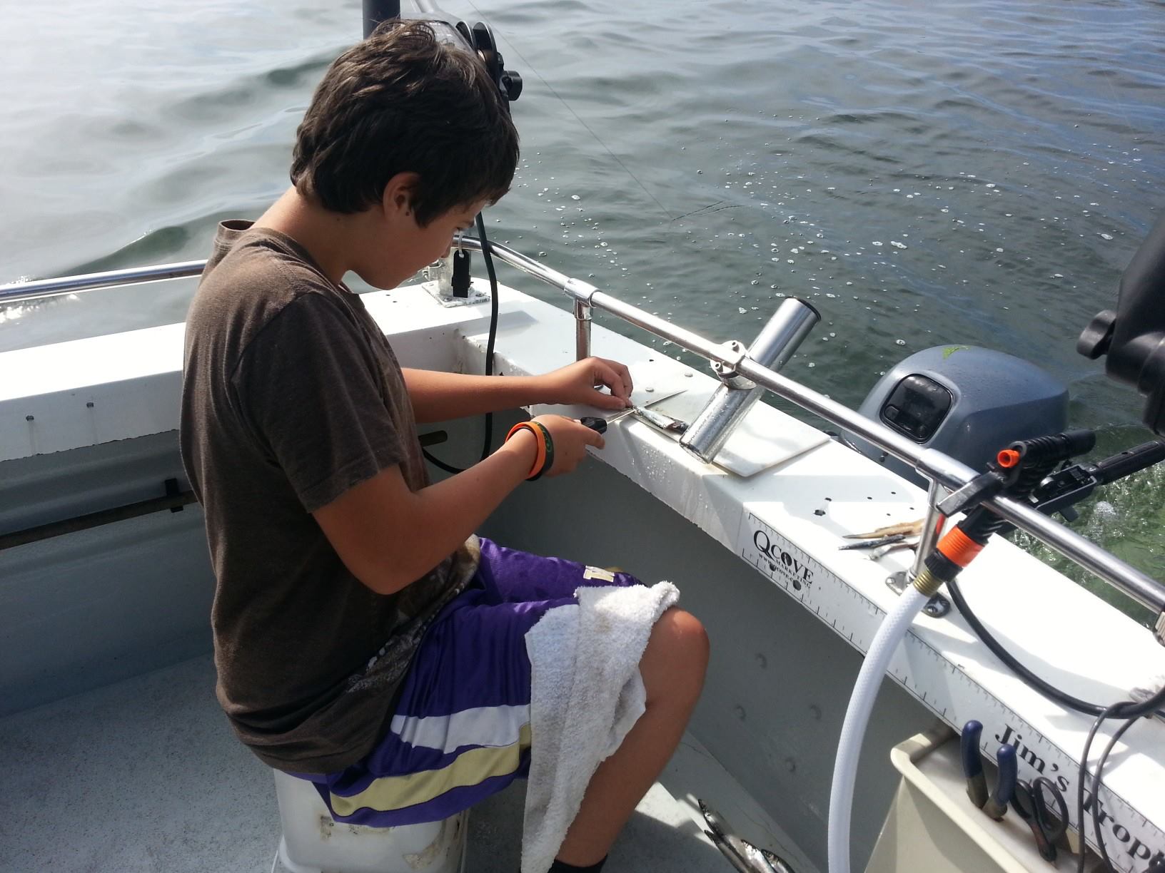 965348_10151707893689020_523910993_o