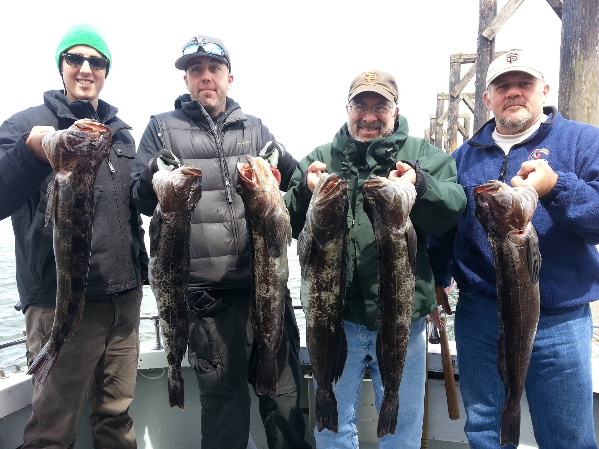 980526_10151597043784020_523959159_o