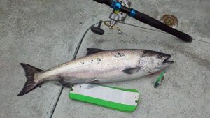 Seattle Fishing rod lure King Salmon