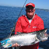 4c1ca881df938f0c389ab02a11d014aa-king salmon