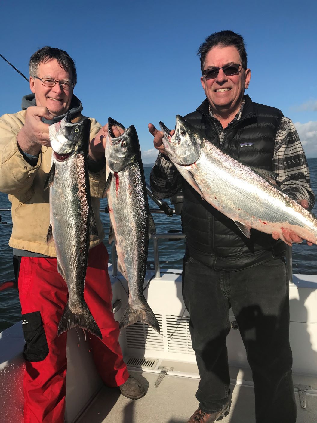Two anglers holding several salmon side by side on a sunny Puget Sound day.